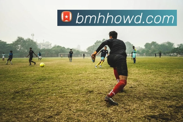 问鼎娱乐平台生态图